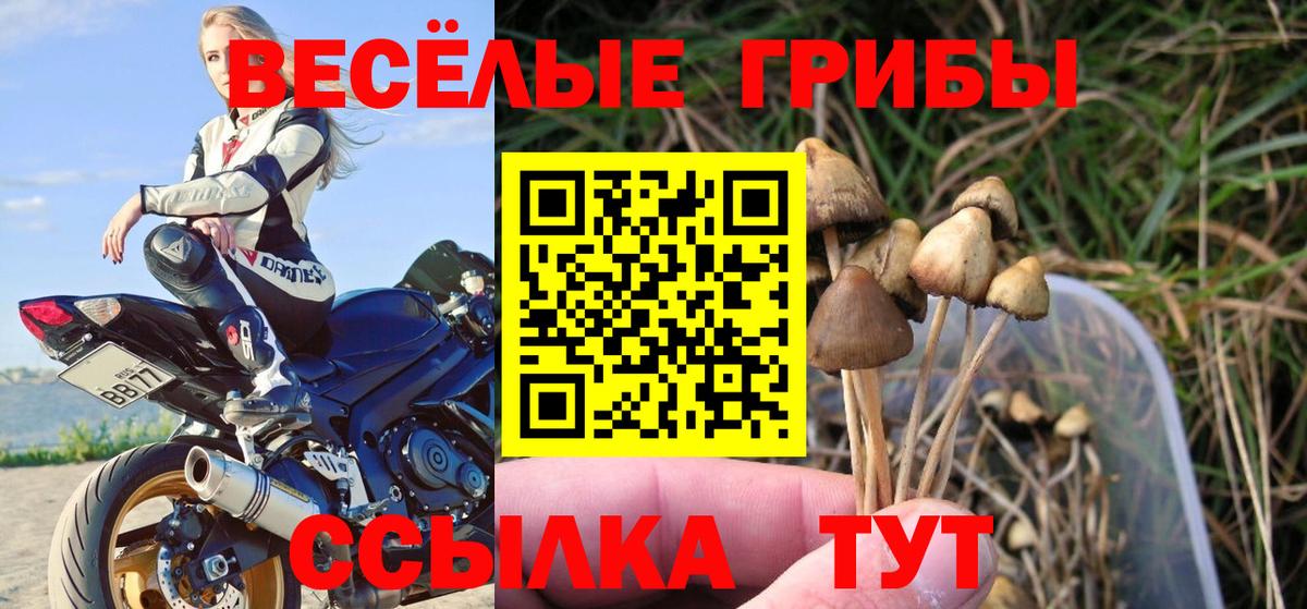 Галлюциногенные грибы мицелий Гусиноозёрск